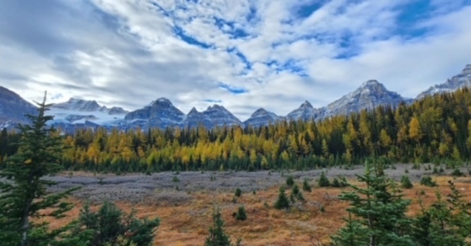 Part 3: Using Seasonal Acupuncture as Preventive Care