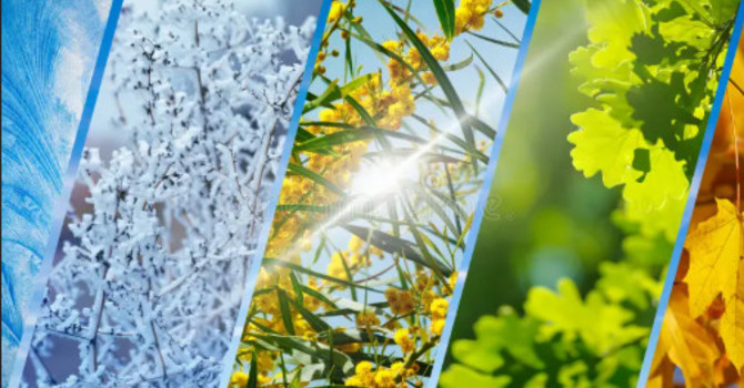 Part 1: Why Seasonal Acupuncture Matters in Traditional Chinese Medicine