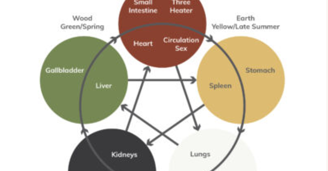 Part 2: The Five Seasons & How They Affect Your Body