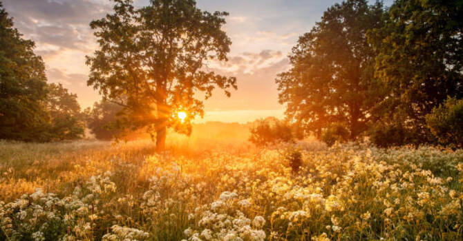 Nourishing Digestion in Late Summer