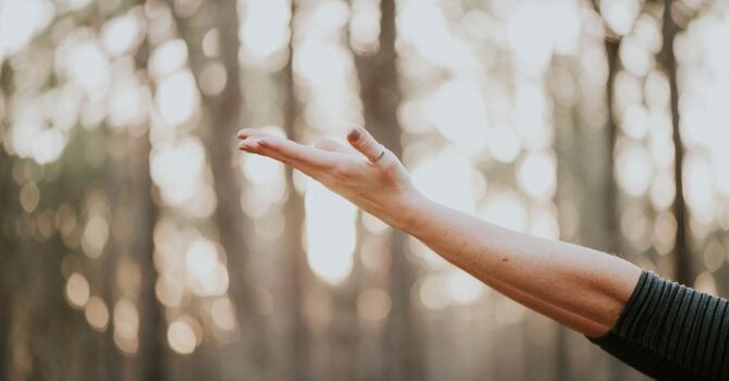 We're Settled In!! image