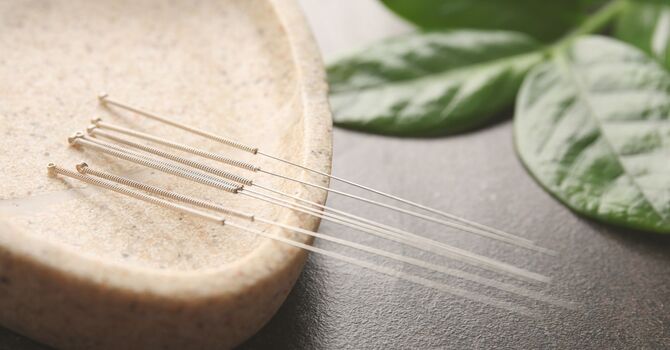 Part 3: Using Seasonal Acupuncture as Preventive Care